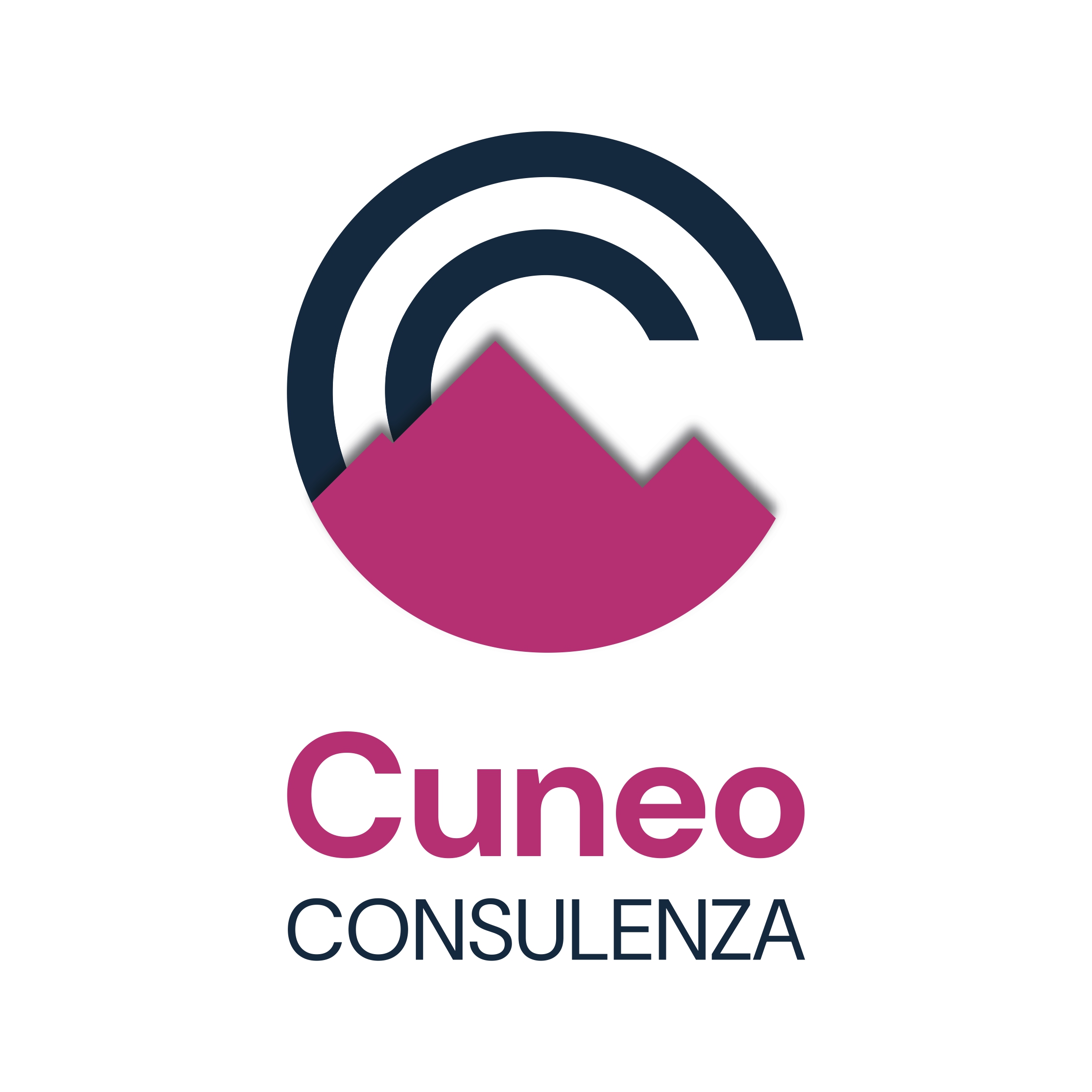 Cuneo Consulenza