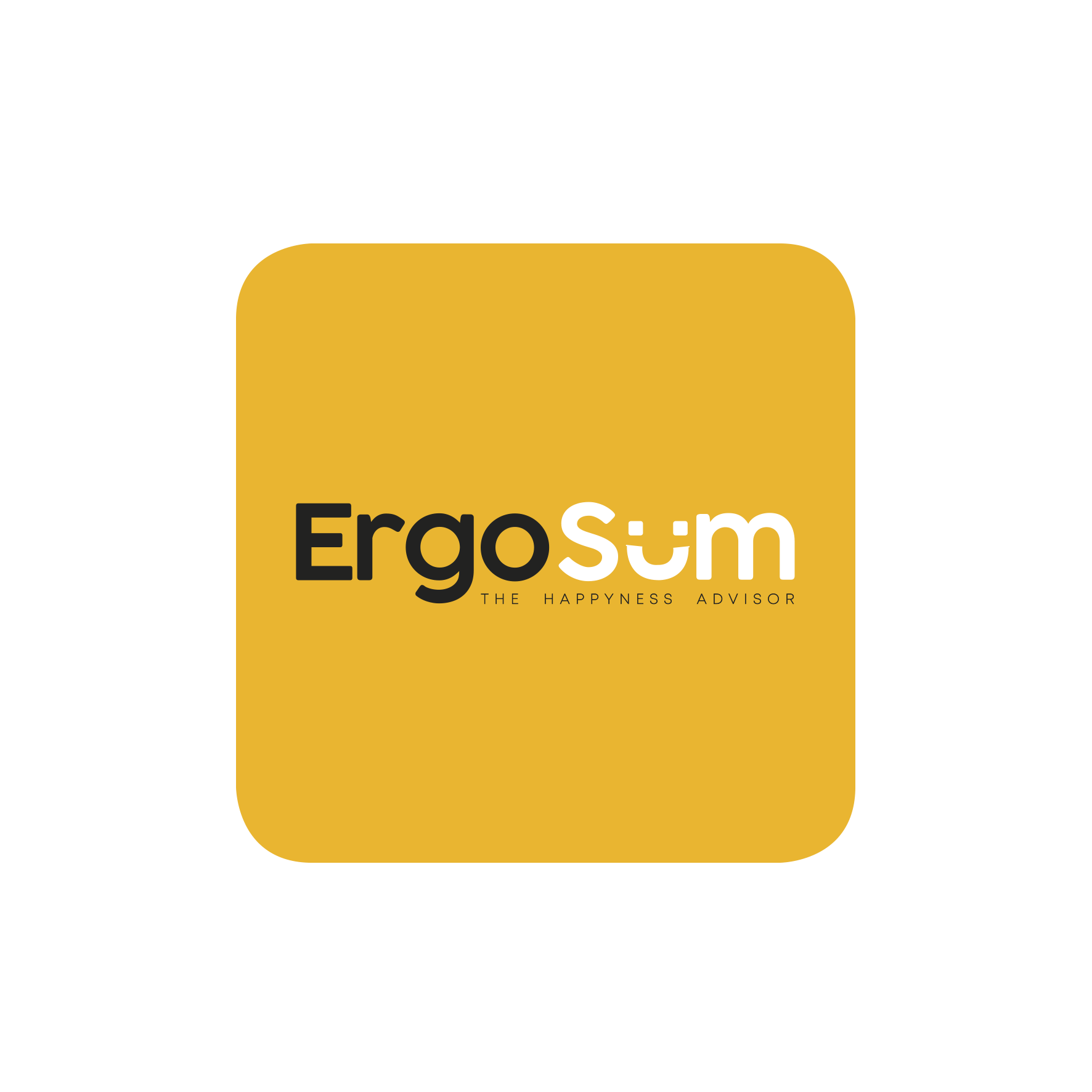 ErgoSum srl